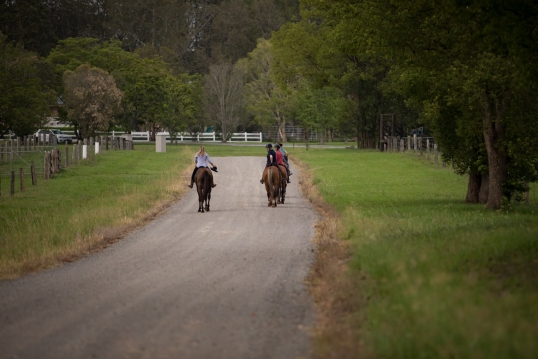 Hastings River Horse Riding Explore Port Macquarie and Beyond on Horseback