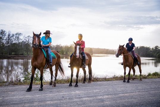 Hastings River Horse Riding Explore Port Macquarie and Beyond on Horseback