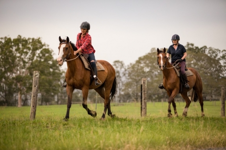 Hastings River Horse Riding Explore Port Macquarie and Beyond on Horseback