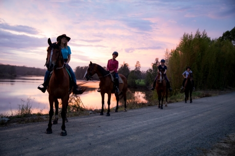 Hastings River Horse Riding Explore Port Macquarie and Beyond on Horseback
