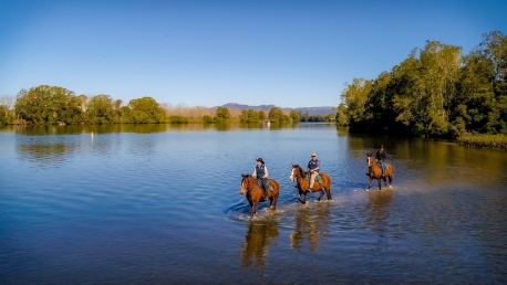 Hastings River Horse Riding Explore Port Macquarie and Beyond on Horseback