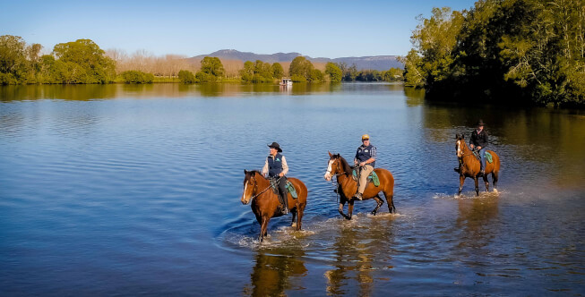 Hastings River Horse Riding Explore Port Macquarie and Beyond on Horseback