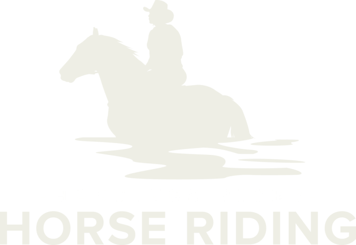Horse Racing Club and Riding School Emblems Set Stock Vector - Illustration  of hindleg, mascot: 94651806